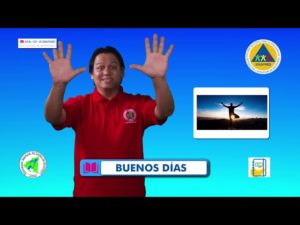 CONFIGURACIÓN B PALMA VÍDEO 1, CURSO BÁSICO DE LENGUAJE DE SEÑAS