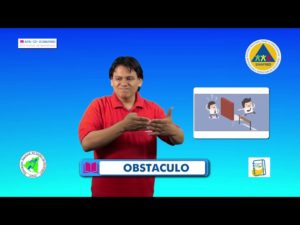 Curso Lenguaje de Señas "Vocabulario Genérico de la Gestión Integral del Riesgo -GIR Parte 2"